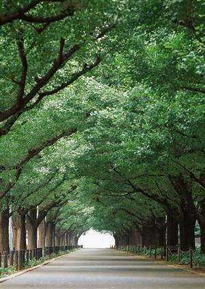 港区で信頼できるこども心療内科を徹底紹介！早期発見と安心のケアで子どもの心の健康を守る